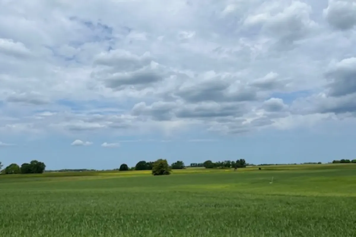 Feldlandschaft in Mecklenburg-Vorpommern