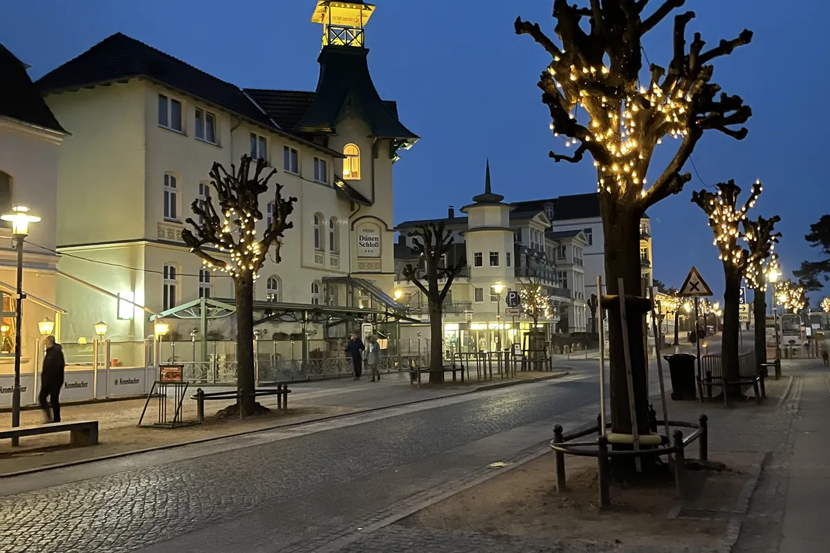 Lichterb&auml;ume am Abend
