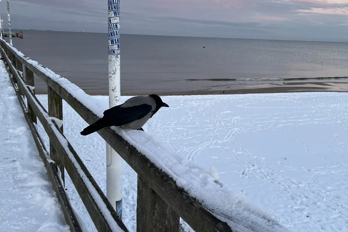 Winter an der Seebr&uuml;cke
