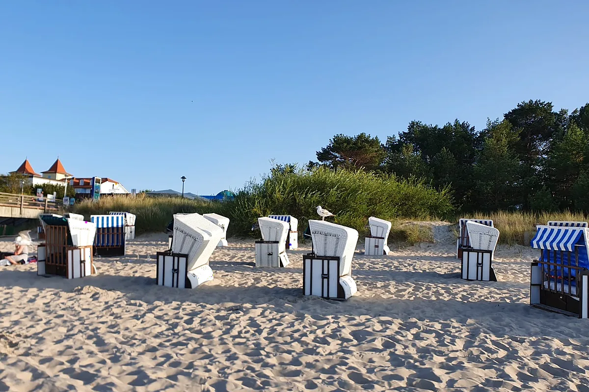 Strandk&ouml;rbe im Abendlicht