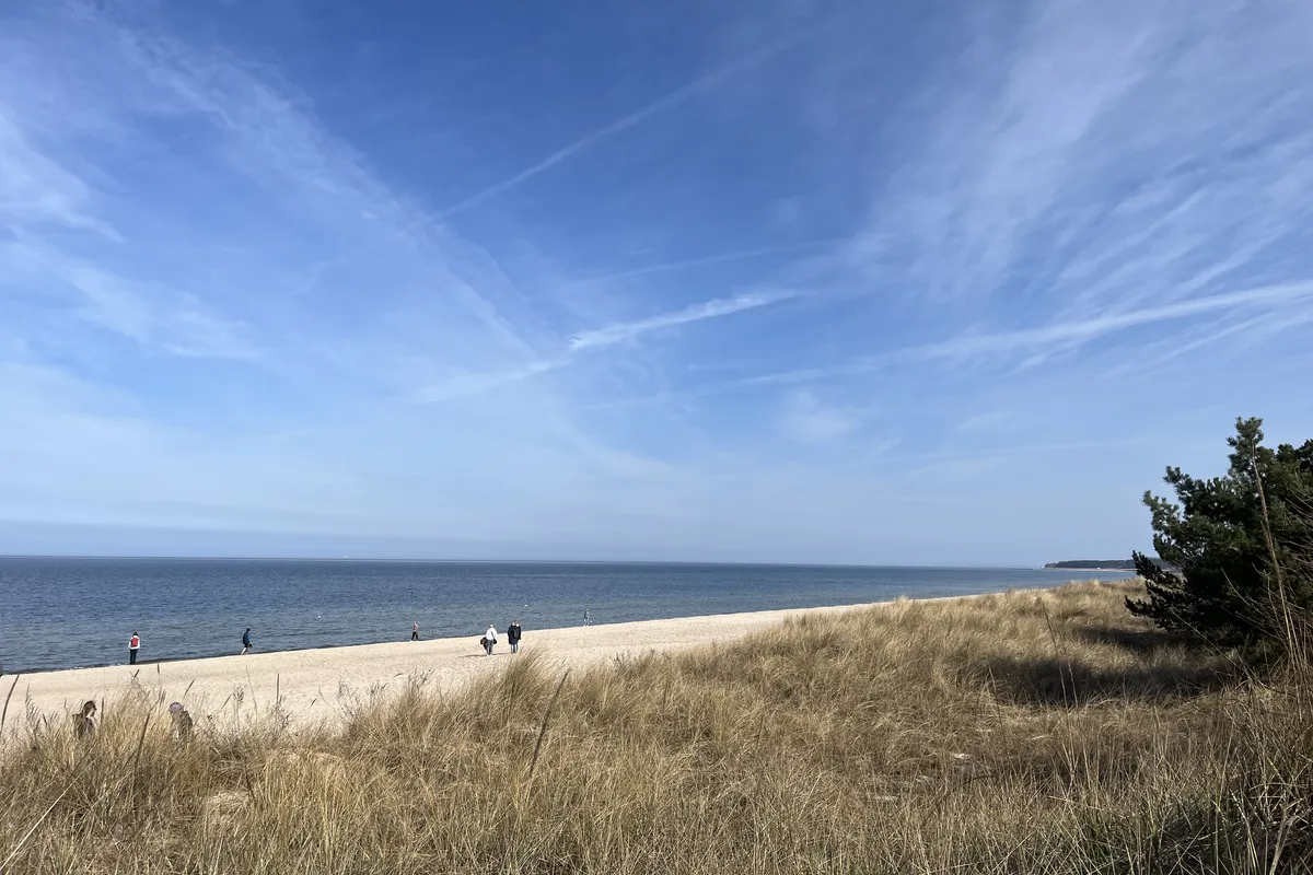 D&uuml;nen mit Strandhafer